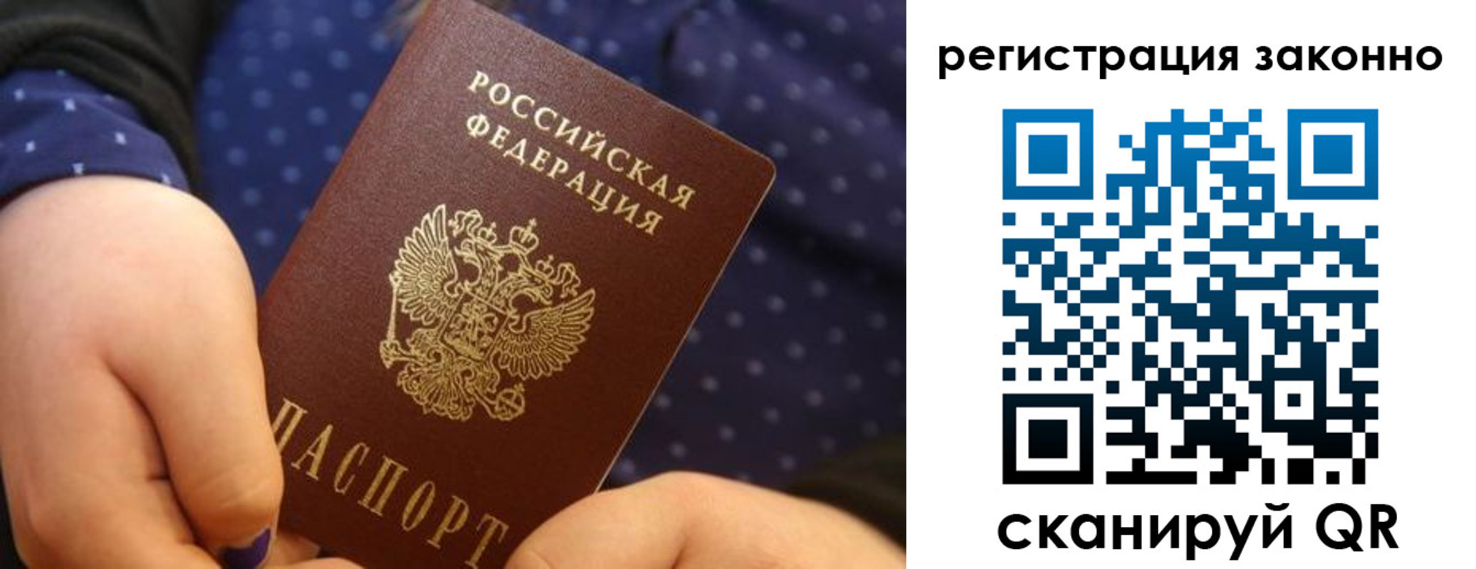 пропишу в квартире в Павловском Посаде