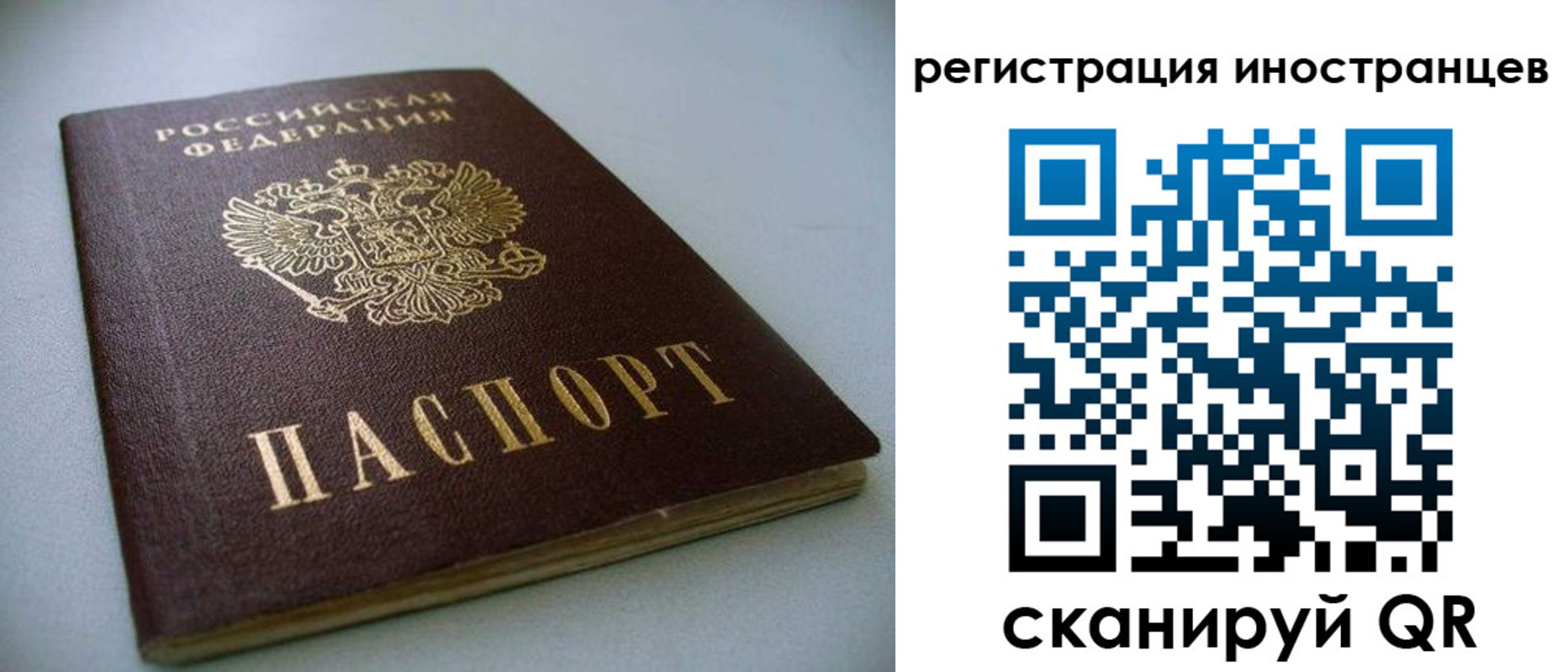 пропишу в квартире в Павловском Посаде